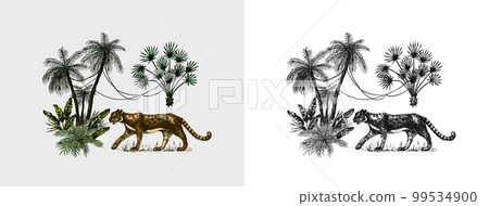 Wild tiger and exotic plants. Tropical trees. Eastern landscape. Exotic nature. Linear Jungle. Hand Wild tiger and exotic plants. Tropical trees. Eastern landscape. Exotic nature. Linear Jungle. Hand 99534900