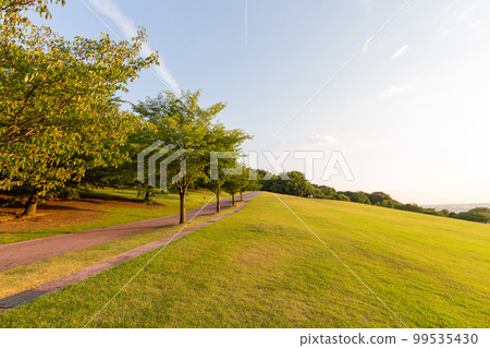 Parkland lit by setting sun, Kanazawa, Japan. 99535430