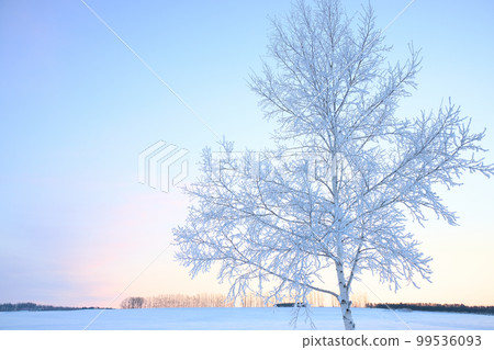 霧冰和晨光 霧冰和晨光 99536093