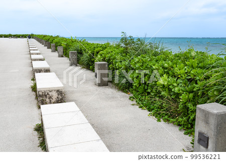 沖繩瀨長島沿岸的長椅 99536221