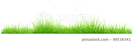 Green grass 99536341