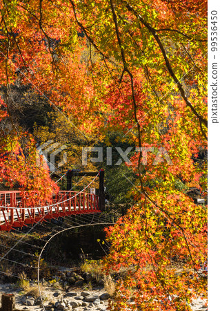 Autumn leaves of Korankei in Asuke-cho, Toyota City, Aichi Prefecture, Japan, and Koran Bridge over the Tomoe River. 99536450