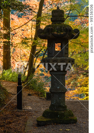 Autumn leaves of Korankei Gorge and lanterns of Kojakuji Temple in Asuke-cho, Toyota City, Aichi Prefecture, Japan Autumn leaves of Korankei Gorge and lanterns of Kojakuji Temple in Asuke-cho, Toyota City, Aichi Prefecture, Japan 99536506