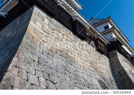 日本愛媛縣松山市松山城南角和南角 99536949