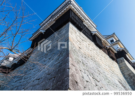 日本愛媛縣松山市松山城南角和南角 99536950