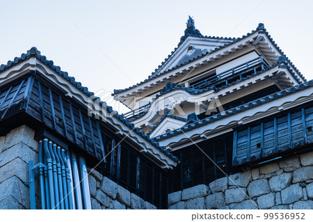 日本愛媛縣松山市松山城主樓 99536952