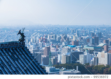 從日本愛媛縣松山市松山城主塔望去的市區 99536972