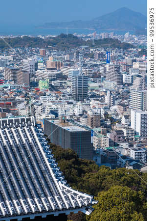 從日本愛媛縣松山市松山城主塔望去的市區 99536975