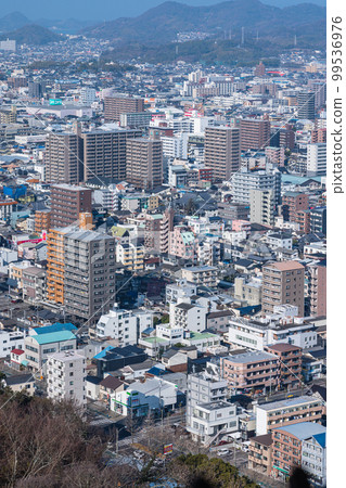 從日本愛媛縣松山市松山城主塔望去的市區 99536976