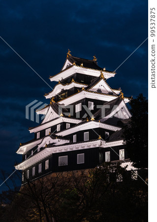 日本岡山縣岡山市燈火通明的岡山城 99537875