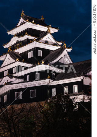 日本岡山縣岡山市燈火通明的岡山城 99537876