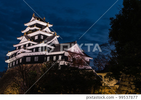 日本岡山縣岡山市燈火通明的岡山城 99537877