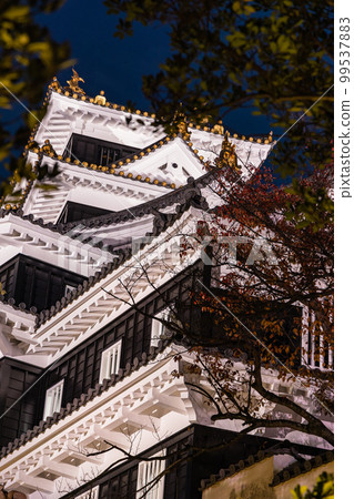 Illuminated Okayama Castle in Okayama City, Okayama Prefecture, Japan Illuminated Okayama Castle in Okayama City, Okayama Prefecture, Japan 99537883