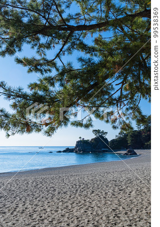 日本高知縣高知市浦戶桂濱的桂濱海灘和龍王岬 99538369