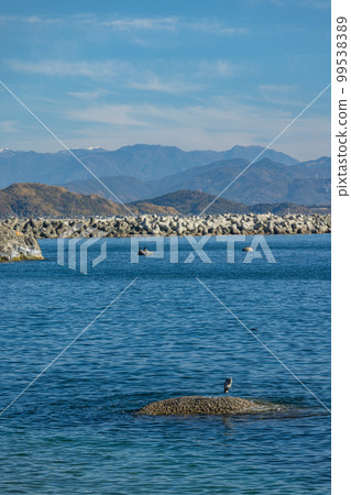Katsurahama, Urato, Kochi City, Kochi Prefecture, Japan Katsurahama, Urato, Kochi City, Kochi Prefecture, Japan 99538389