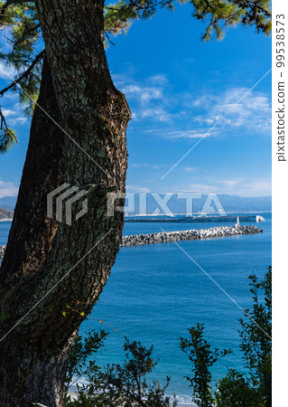 Katsurahama, Urato, Kochi City, Kochi Prefecture, Japan Katsurahama, Urato, Kochi City, Kochi Prefecture, Japan 99538573
