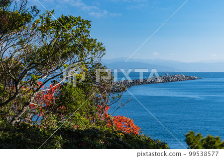 Katsurahama, Urato, Kochi City, Kochi Prefecture, Japan Katsurahama, Urato, Kochi City, Kochi Prefecture, Japan 99538577