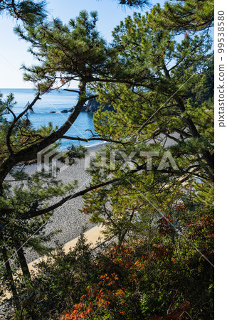 Katsurahama beach in Urado, Kochi City, Kochi Prefecture, Japan Katsurahama beach in Urado, Kochi City, Kochi Prefecture, Japan 99538580