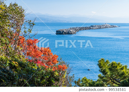 Katsurahama, Urato, Kochi City, Kochi Prefecture, Japan Katsurahama, Urato, Kochi City, Kochi Prefecture, Japan 99538581