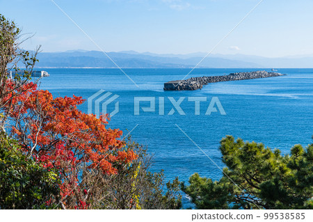 Katsurahama, Urato, Kochi City, Kochi Prefecture, Japan 99538585