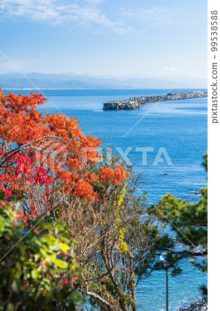 Katsurahama, Urato, Kochi City, Kochi Prefecture, Japan Katsurahama, Urato, Kochi City, Kochi Prefecture, Japan 99538588