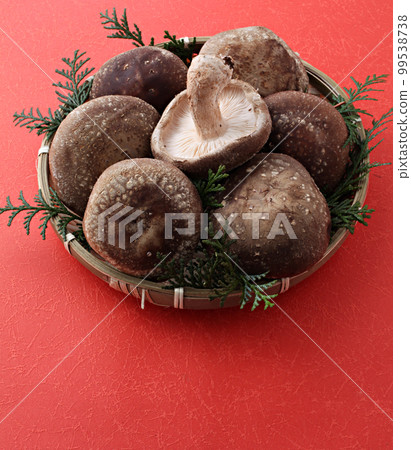 Shiitake mushroom studio shot Shiitake mushroom studio shot 99538738