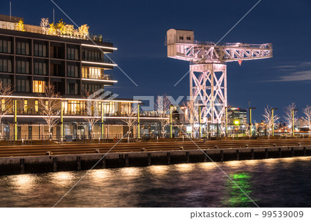 《Kanagawa Prefecture》Yokohama Bay Area Night View/Hammer Crane 99539009