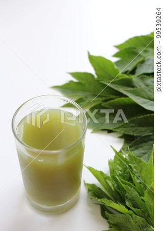 青汁明天的葉子 99539264