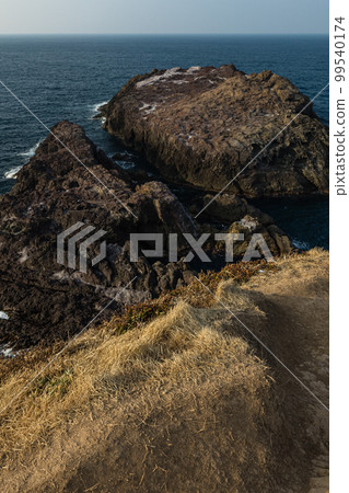 從日本山口縣長門市的元之隅神社可以看到日本海和龍宮噴口的懸崖 99540174