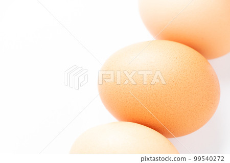 Chicken egg raw 9339329 PNG