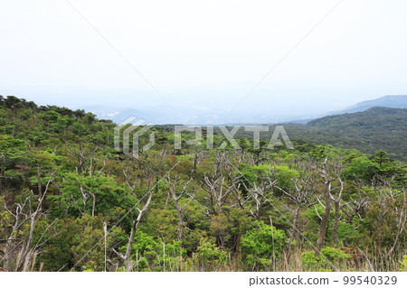 從高千穗山眺望霧島 從高千穗山眺望霧島 99540329