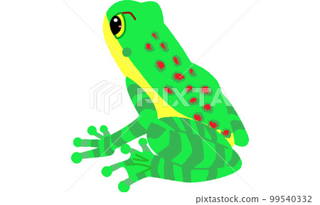 The vivid tone of Amamiishikawa frog, a creature of the world natural heritage island 99540332
