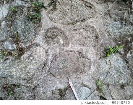 Texture of old gray concrete wall for background 99540730