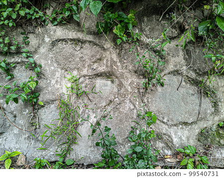 Texture of old gray concrete wall for background 99540731