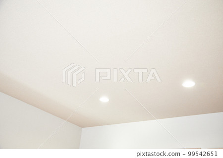House Ceiling Downlight 99542651