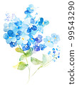 Watercolor illustration of forget-me-not flowers / AI image 99543290
