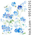 Nemophila flower watercolor illustration / AI image 99543291