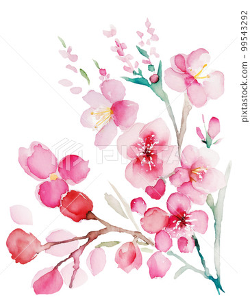 櫻花水彩插圖/AI圖像 99543292