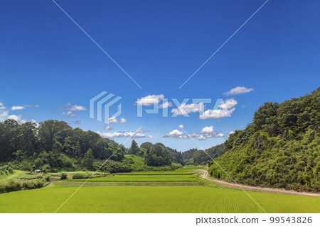 山谷中稻田的田園風光。背景材料 99543826