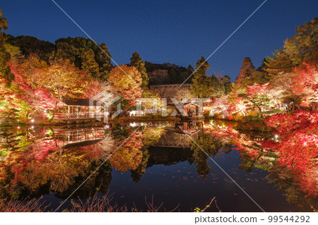 被紅葉照亮的東山動植物園（愛知縣名古屋市） 99544292