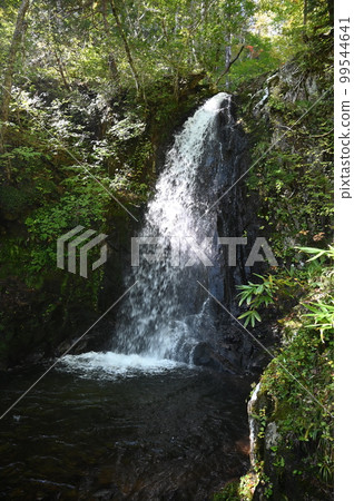 上江四十八瀧瀑布 銚子口瀑布 岐阜縣高山市 99544641