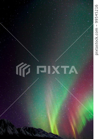 aurora night in canada aurora night in canada 99545216