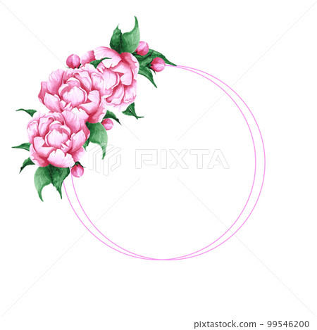 Handdrawn Watercolor pink peony flowers, leaves and buds composition with round frame boarde on the white background. Scrapbook design, wedding card and invitation, label, banner, post card. 99546200