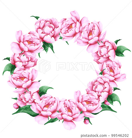 Handdrawn Watercolor pink peony flowers round frame boarder with green leaves and buds on the white background. Scrapbook design, wedding card and invitation, label, banner, post card. 99546202