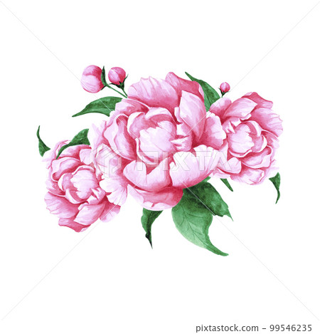 Handdrawn Watercolor pink peony flowers and buds bouquet with green leaves on the white background. Scrapbook design, typography poster, label, banner, post card. Handdrawn Watercolor pink peony flowers and buds bouquet with green leaves on the white background. Scrapbook design, typography poster, label, banner, post card. 99546235