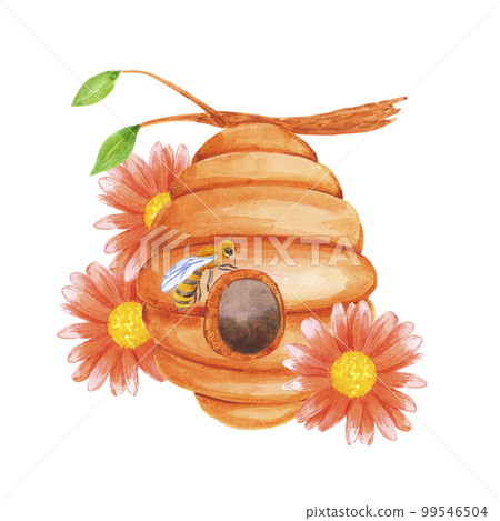 Hand drawn watercolor honey hive composition on white background. Scrapbook design, logo, label, banner. 99546504