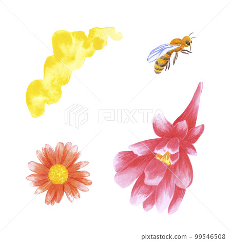 Hand drawn watercolor bee and flowers on white background. Scrapbook design, typography poster, label, banner. Hand drawn watercolor bee and flowers on white background. Scrapbook design, typography poster, label, banner. 99546508