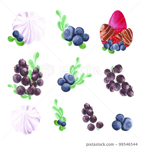 Hand drawn watercolor composition with blueberry, strawberry, marshmellow and black currants. Scrapbook, post card, banner, lable. 99546544