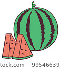 Watermelon illustration 99546639