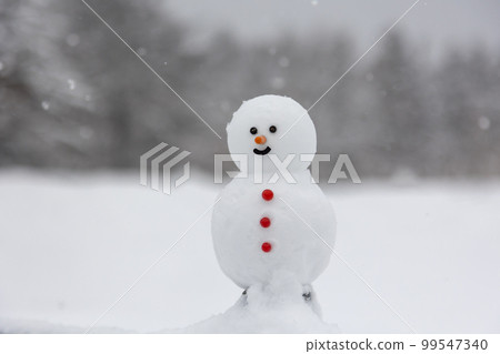 A snowy plateau, a simple snowman 99547340